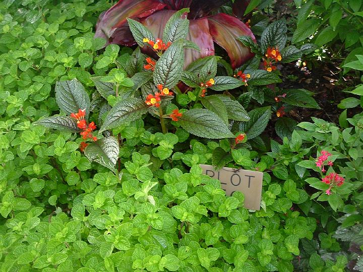 Fairchild GarndensKC